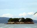 Matsushima Bay Cruise