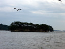 Matsushima Bay Cruise