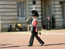 Changing The Guard at Buckingham Palace