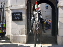 Horse Guards