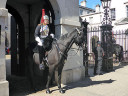 Horse Guards