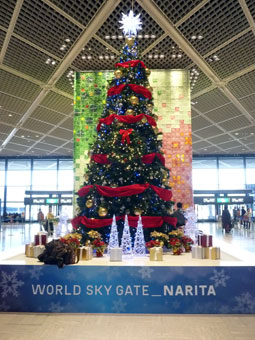 Narita Intarnational Airport