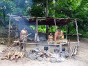 Plimoth Plantation