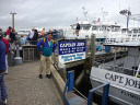 Whale Watching in Cape Cod Bay