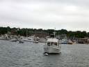 Whale Watching in Cape Cod Bay