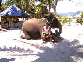 elephant ride