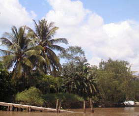 Mekong River