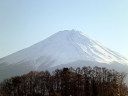 Mt. Fuji