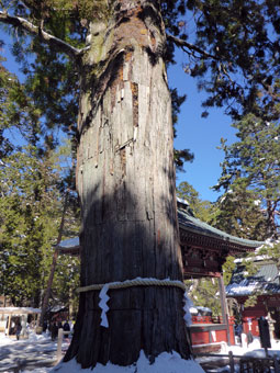 北口本宮冨士浅間神社