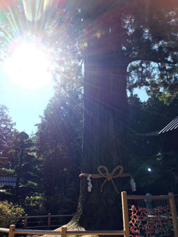 北口本宮冨士浅間神社