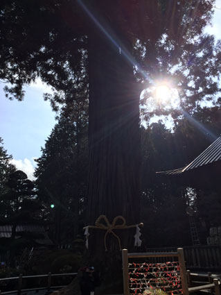 北口本宮冨士浅間神社