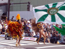 Asakusa Samba Carnival 2009