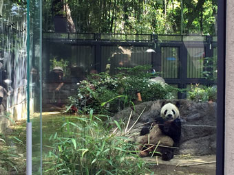 上野動物園