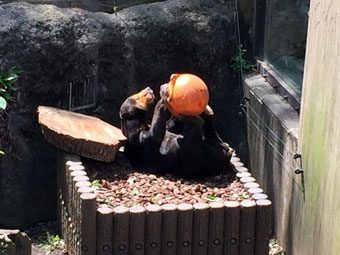 上野動物園