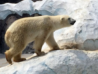 上野動物園