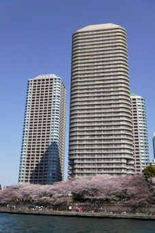 隅田川の桜と屋形船ランチ