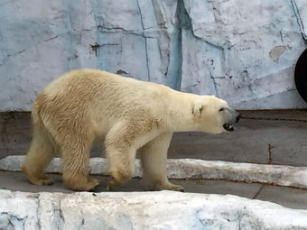 上野動物園